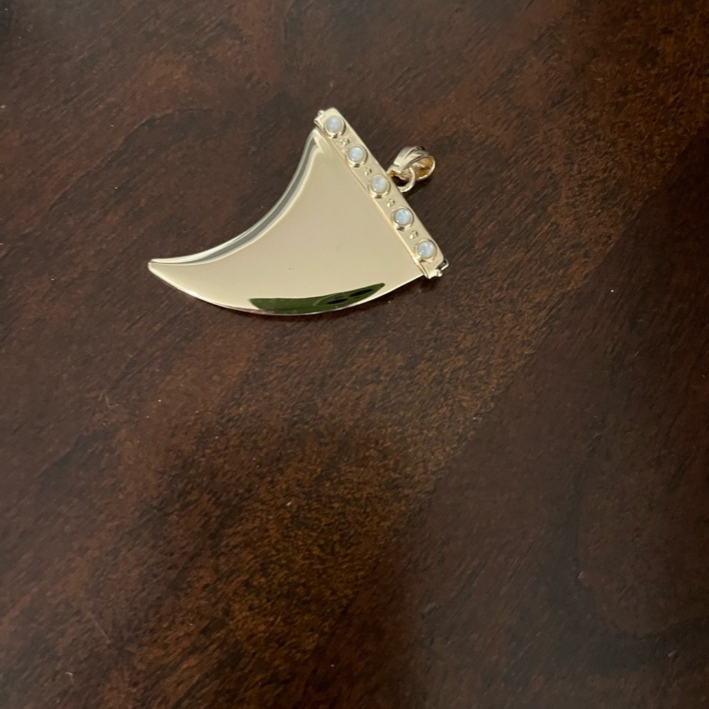 Elegant Gold and Black Horn Pendant Necklace - Picture 5 of 5